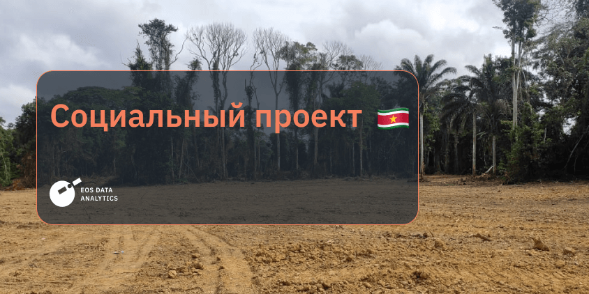 Как Саамака защищают свои права в Суринаме