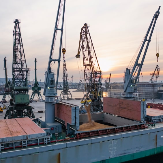 seaport with cranes