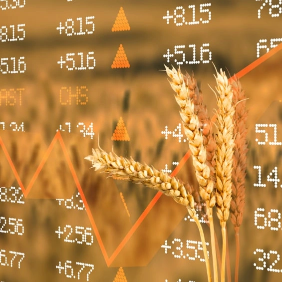 stock growth indicators layered on wheat