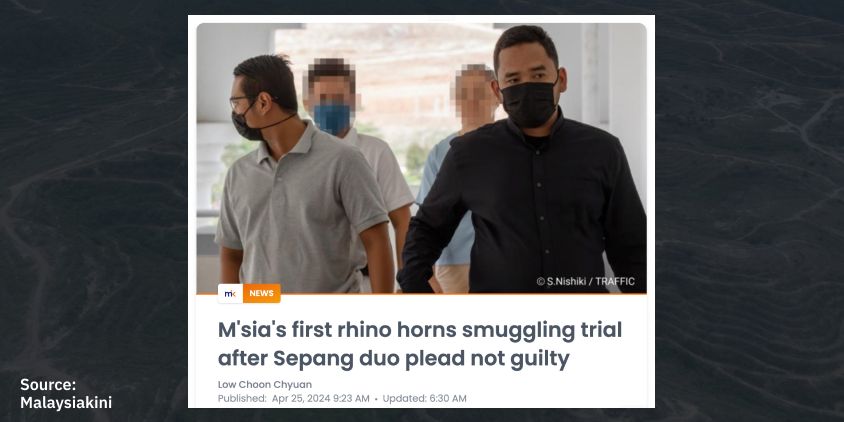 скріншот репортажа Чуна Чуана Лоу