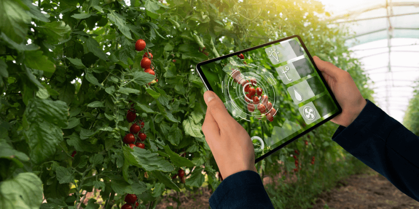 monitorizando la vegetación en una tablet