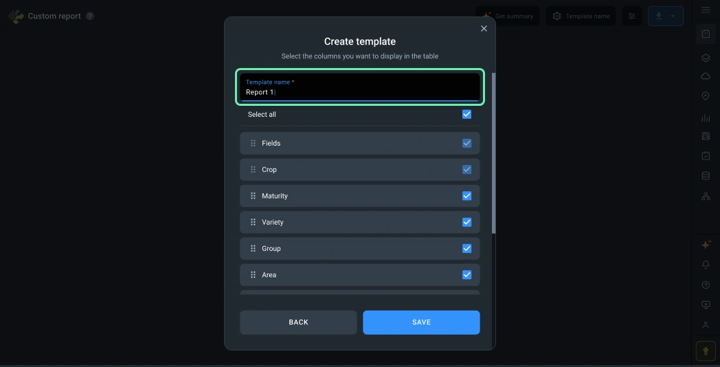 custom report name