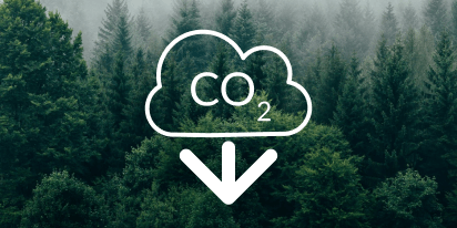 Secuestro De Carbono: Rol E Impacto Medioambiental