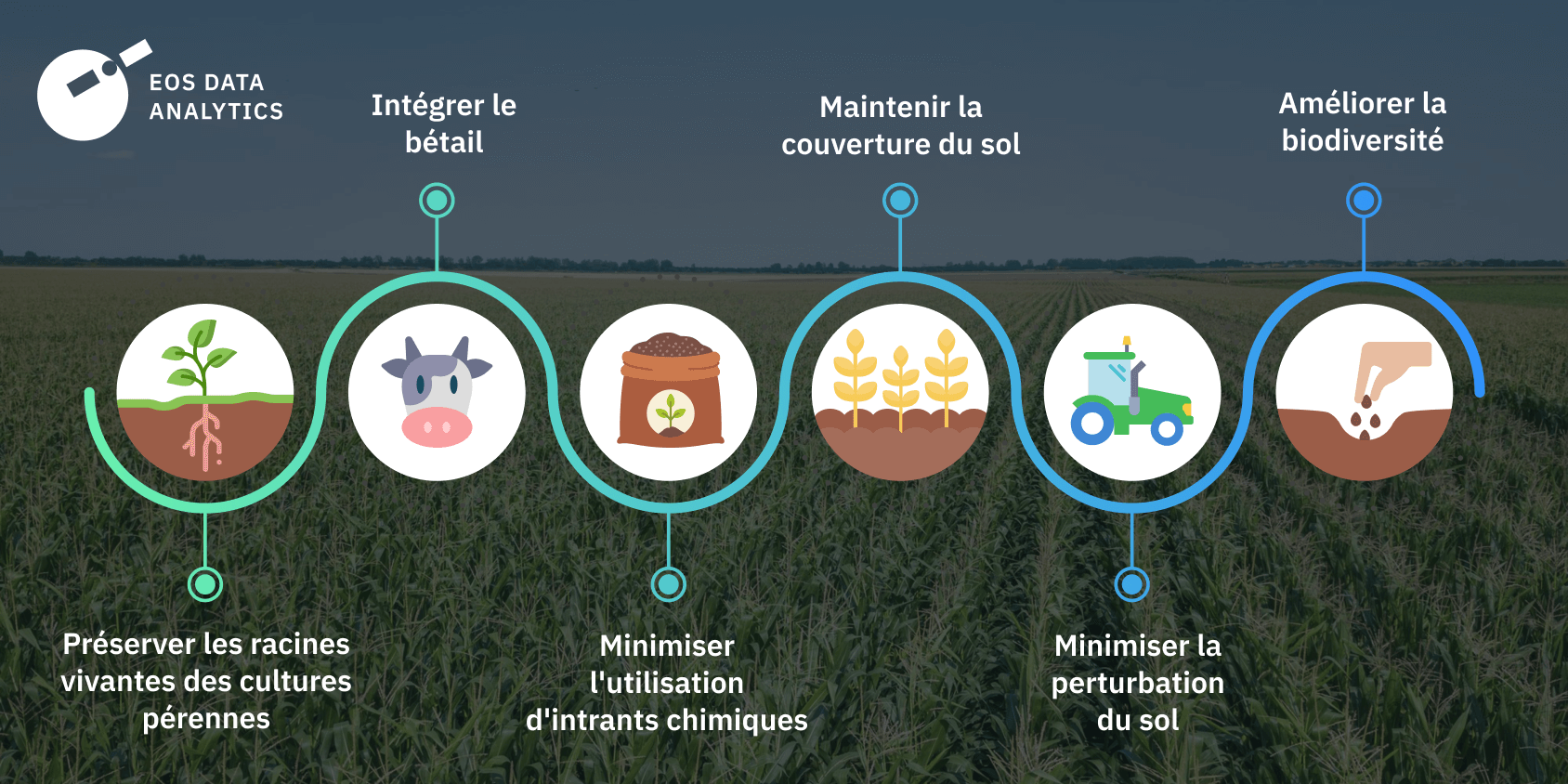 principes clés de l'agriculture régénératrice