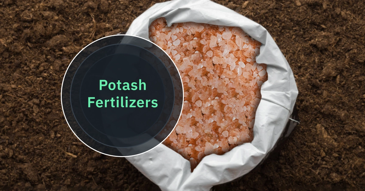 Potash Fertilizers Types Benefits And Uses In Agriculture