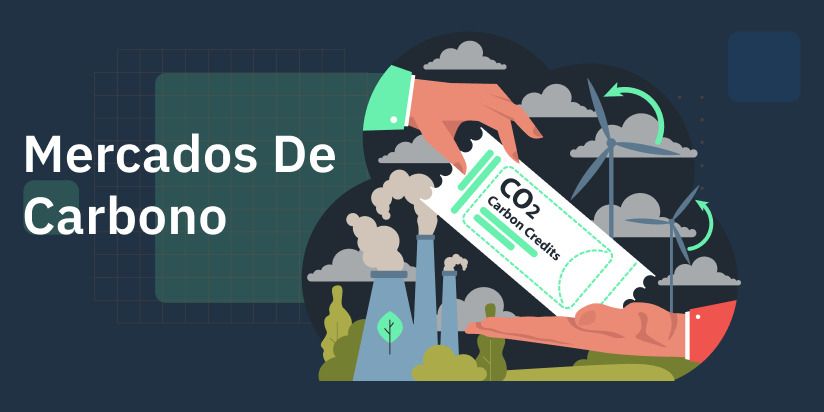 Mercado De Carbono: Princípios, Impactos E Perspectivas Futuras