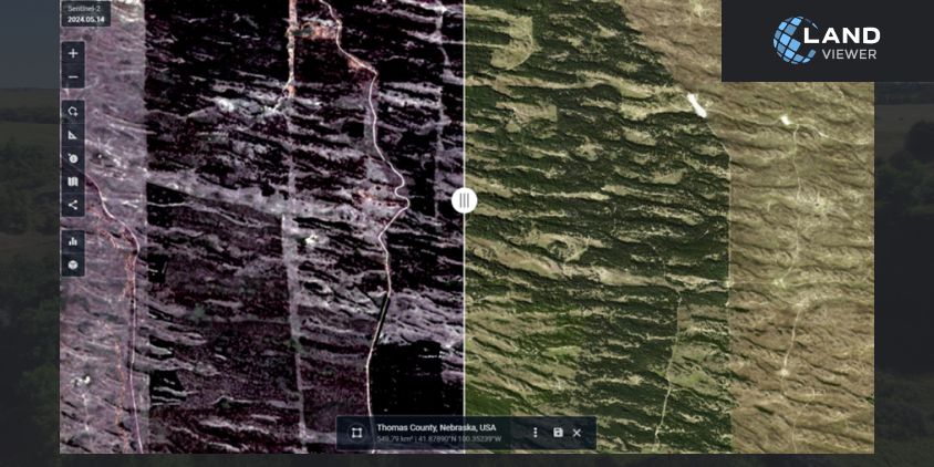 Снимки NAIP и Sentinel-2 леса Небраски в округе Томас в естественном виде