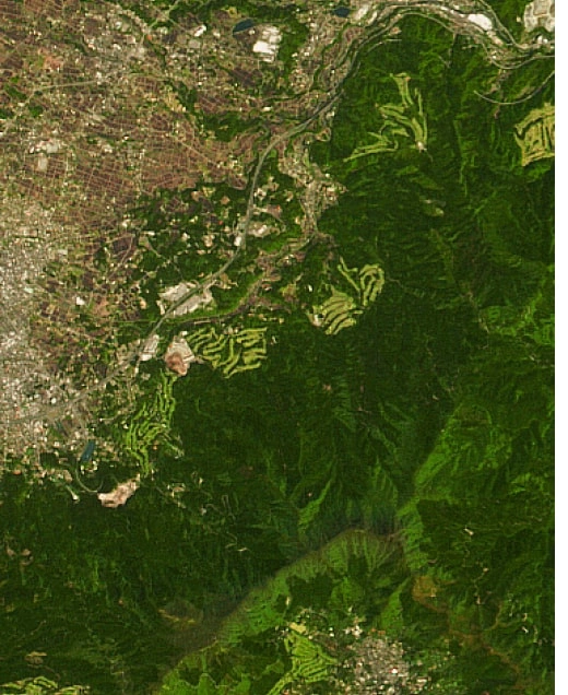 Vue satellite pour la surveillance de la couverture forestière