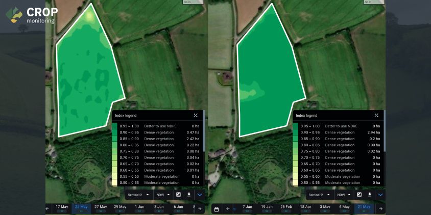 вид двух карт NDVI поля вблизи Плимута, Англия
