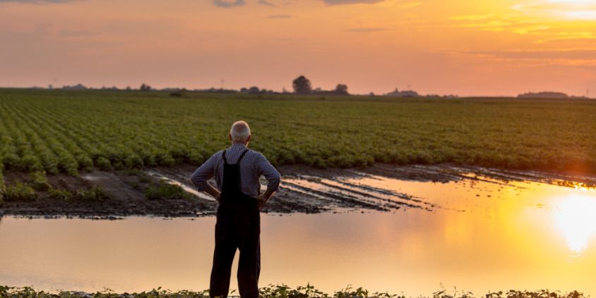 waterlogging issue faced by farmer