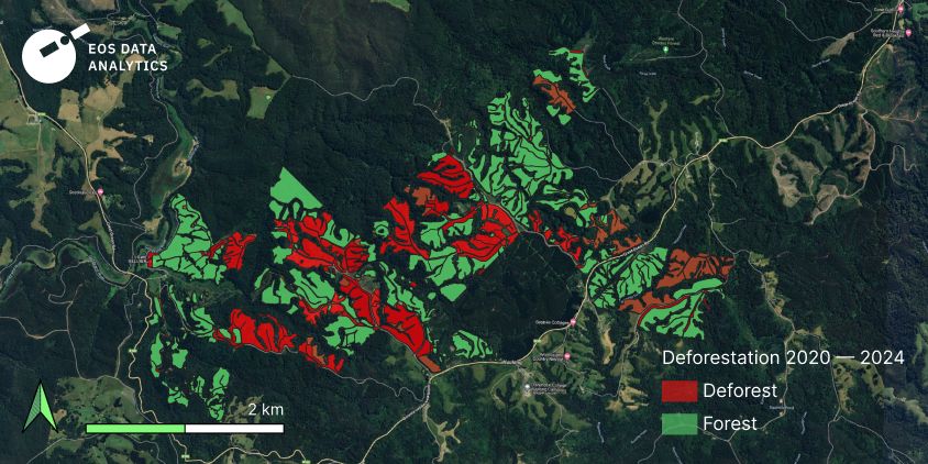 deforestation detection performed for one of EOSDA’s clients