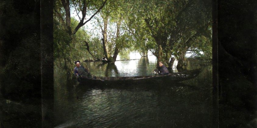 foto en las llanuras aluviales de Velykyi Luh, cerca de Novovorontsovka