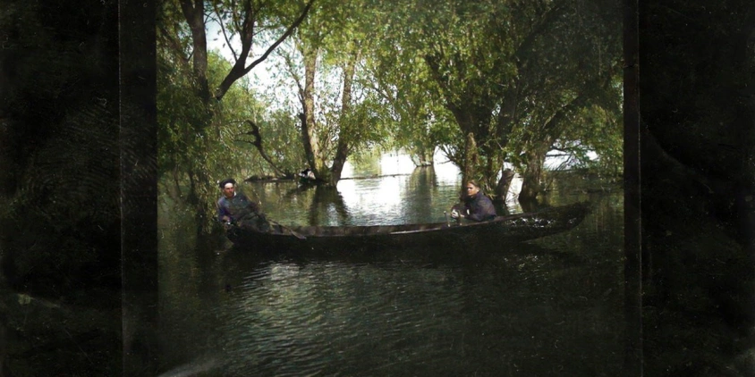 photo in the floodplains of Velykyi Luh near Novovorontsovka