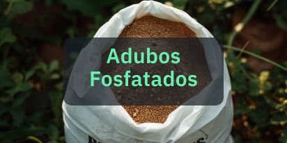 Adubos Fosfatados: Tipos E Papel Na Agricultura