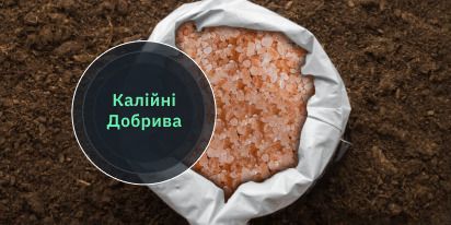 Калійні Добрива: Як і Коли Правильно Вносити