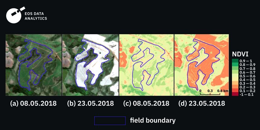 карты полей сахарного тростника в Сан-Паулу, Бразилия