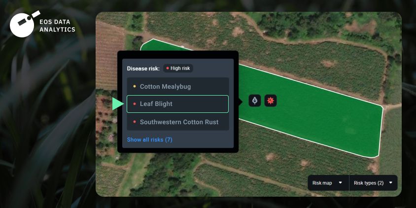 Risk map layer in EOSDA Crop Monitoring