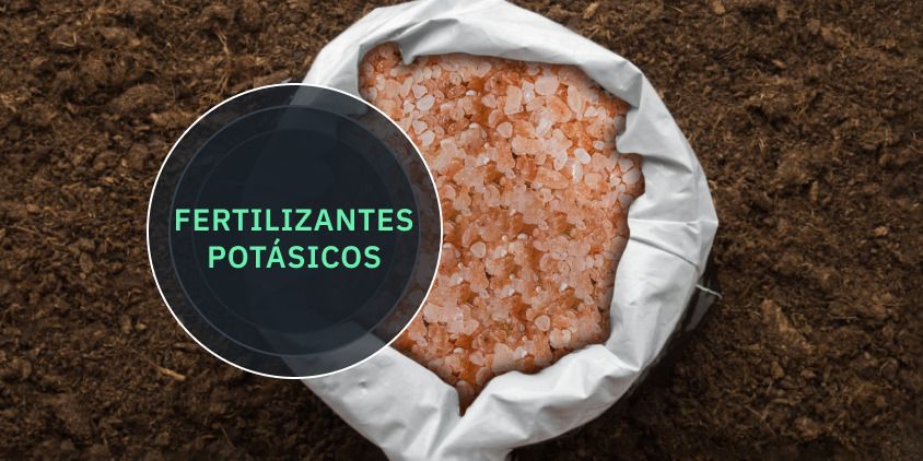 potasa como abono agrícola