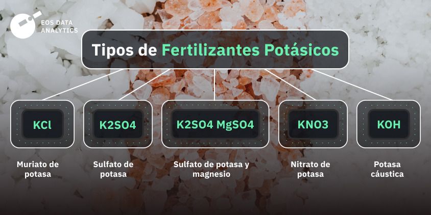 fertilizantes potásicos, ejemplos más comunes