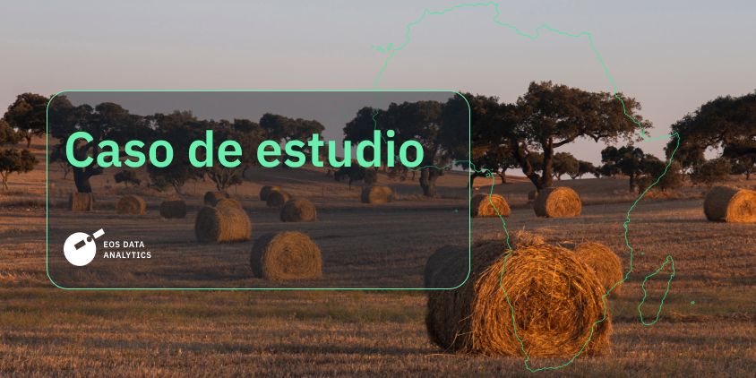 caso de estudio que revela cómo una industria agrícola de África emplea EOSDA Crop Monitoring