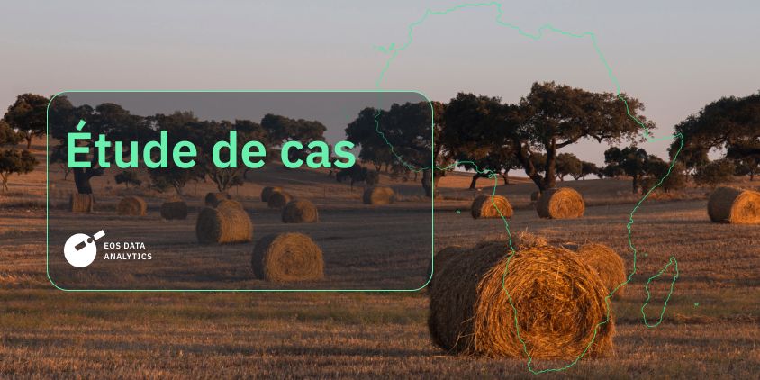 étude de cas révélant comment l’entreprise agricole en Afrique utilise EOSDA Crop Monitoring