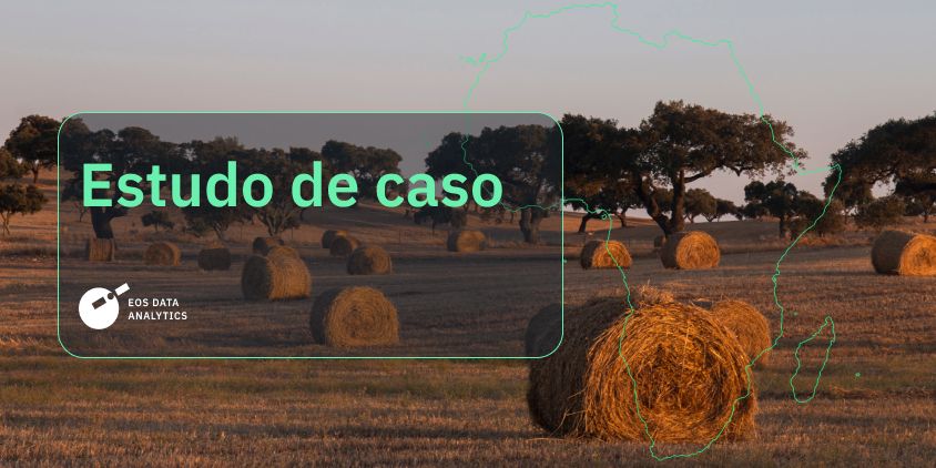 um estudo de caso revelando como uma agroindústria na África emprega o EOSDA Crop Monitoring