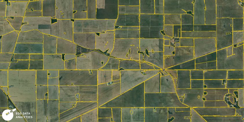 field boundaries detected in the AOI