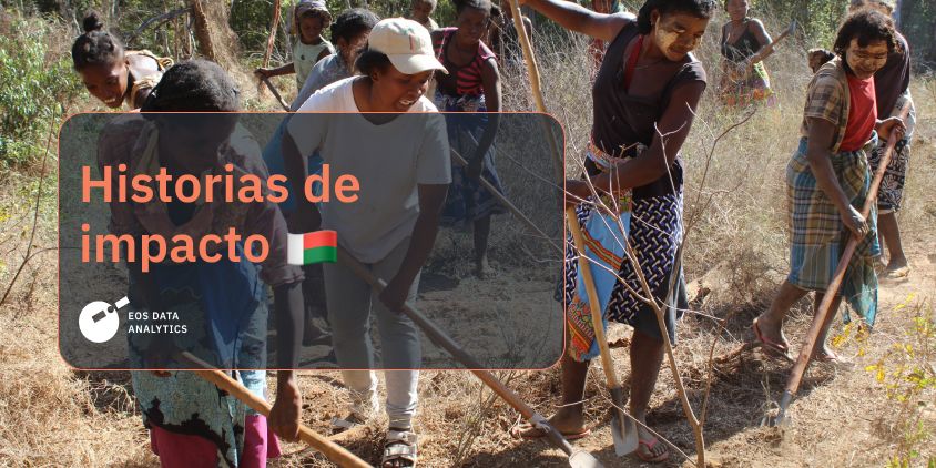recuperación de los bosques de baobabs en Madagascar