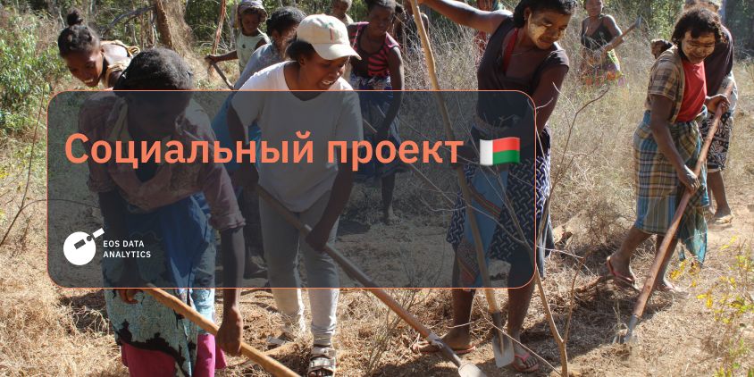 возрождение баобабовых лесов на Мадагаскаре