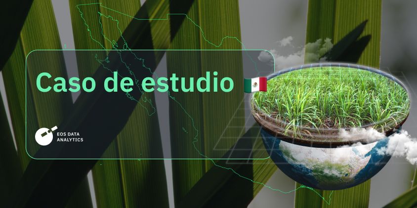 caso de estudio con Israel Gómez