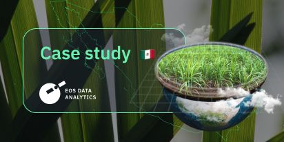 Satellite Monitoring Determines Sugarcane Loss Causes