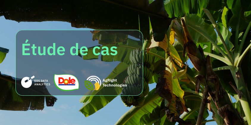 Balise alternative: étude de cas d’EOSDA avec Agright Technologies