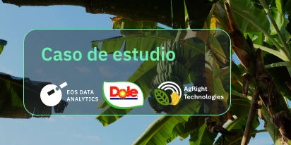 Dole Asia Y Agright Technologies Unen Fuerzas Con AgTech