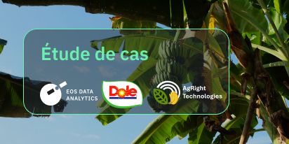 Dole Asia Et Agright Technologies Au Secteur Agricole