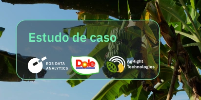 Dole Asia: Avanço Para AgTech Com Agright Technologies