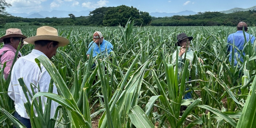 Farmers in Frailesca