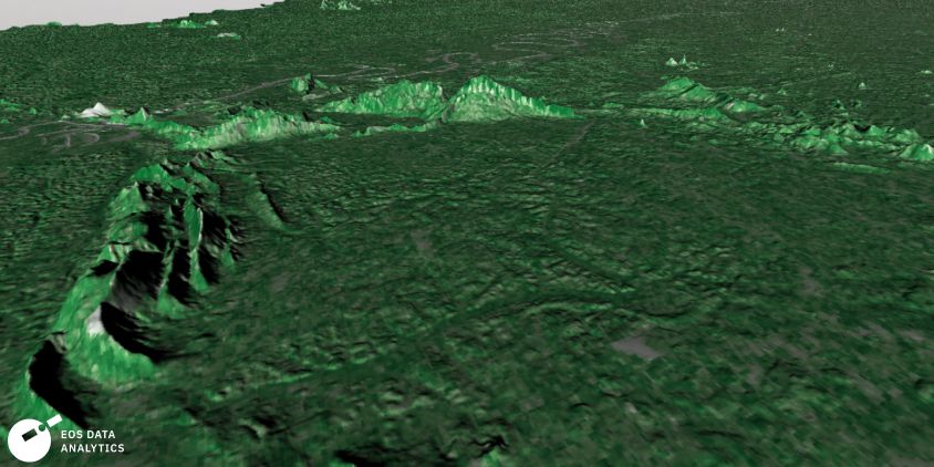 the 2023 forest biomass map of the AOI’s fragment in 3D