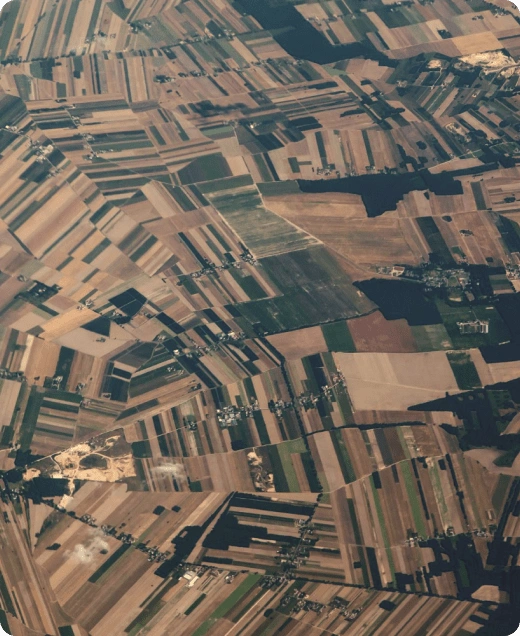 Überwachung Ihrer landwirtschaftlichen Flächen mit EOSDA LandViewer