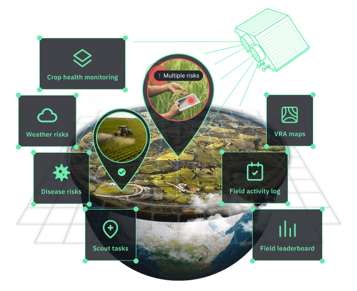 smart crop monitoring solution by EOSDA