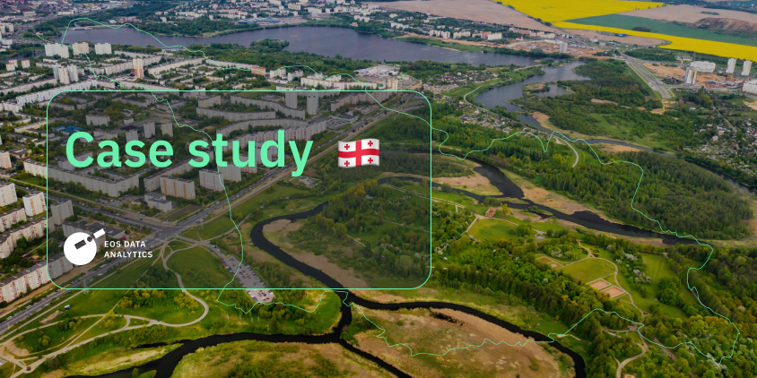 a case study with Levani Koroglishvili
