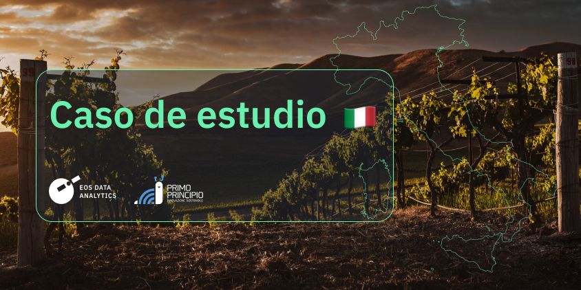 caso de estudio de Primo Principio