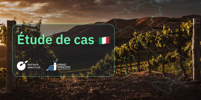 étude de cas avec Primo Principio