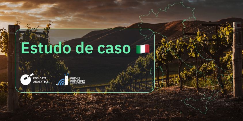 estudo de caso com Primo Principio