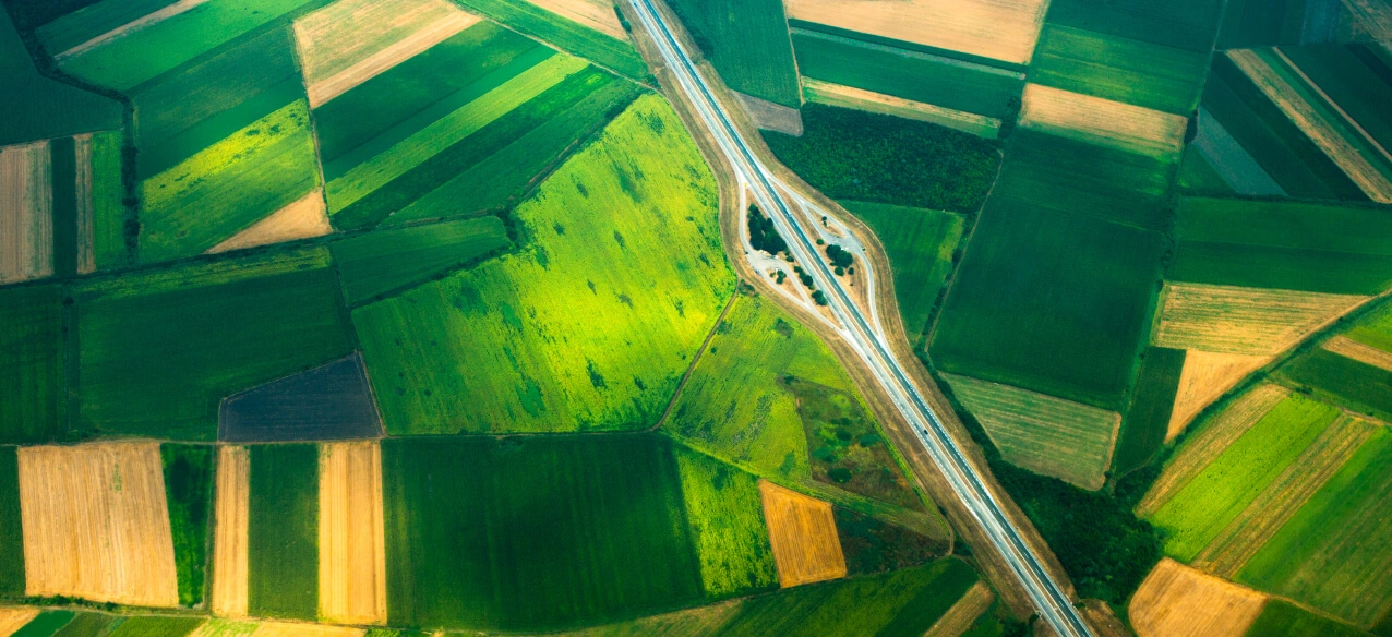 regional crop monitoring using remote sensing