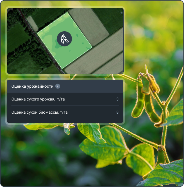 Функция оценки урожайности на цифровой агроплатформе EOSDA