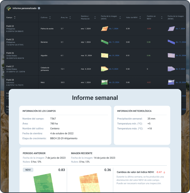 creación de informes automatizados