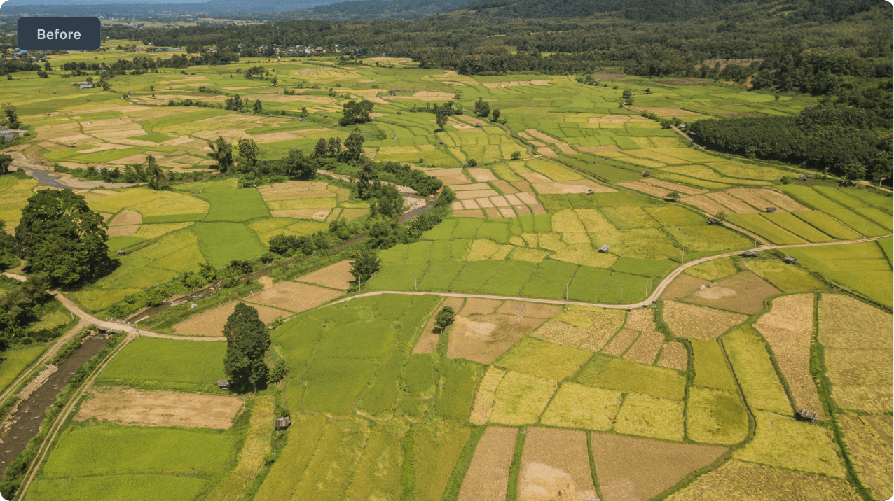 field risks detected in crop management software