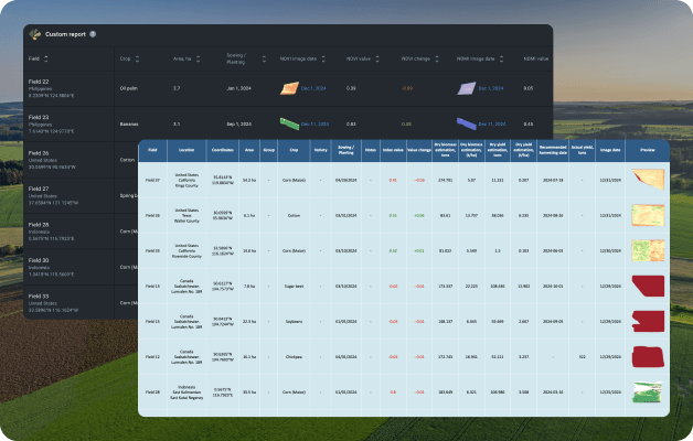 automated reports software