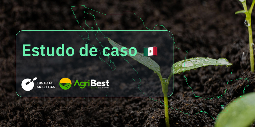 Um estudo de caso com a Agribest