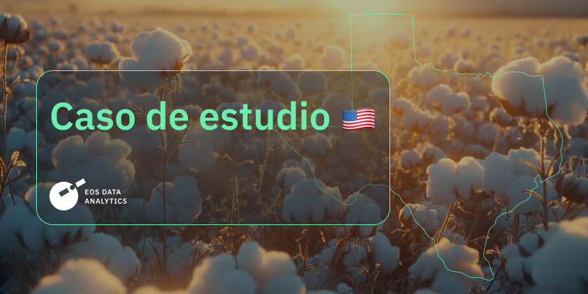 estimación del rendimiento del algodón en Texas